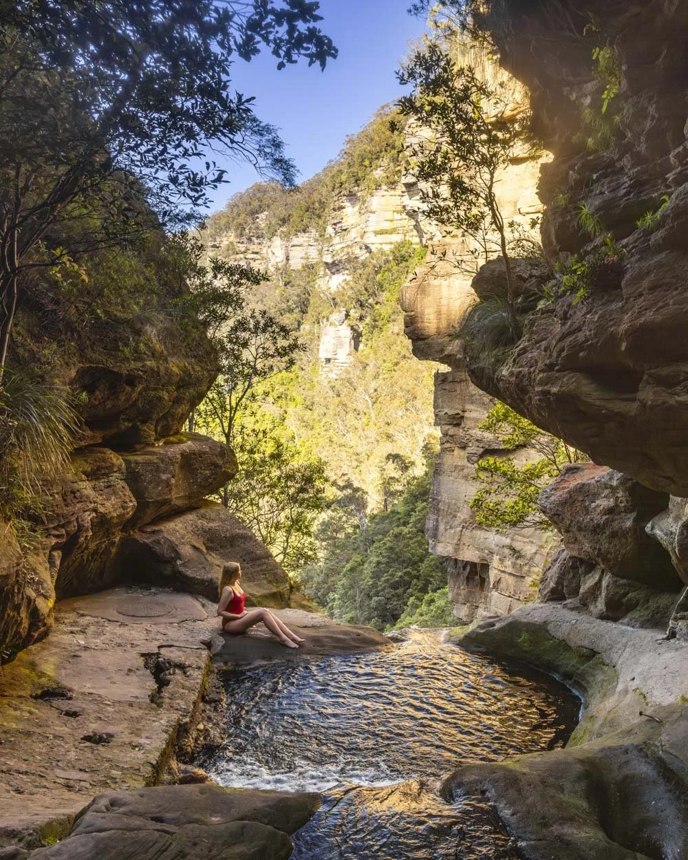 Leura Infinity Pool