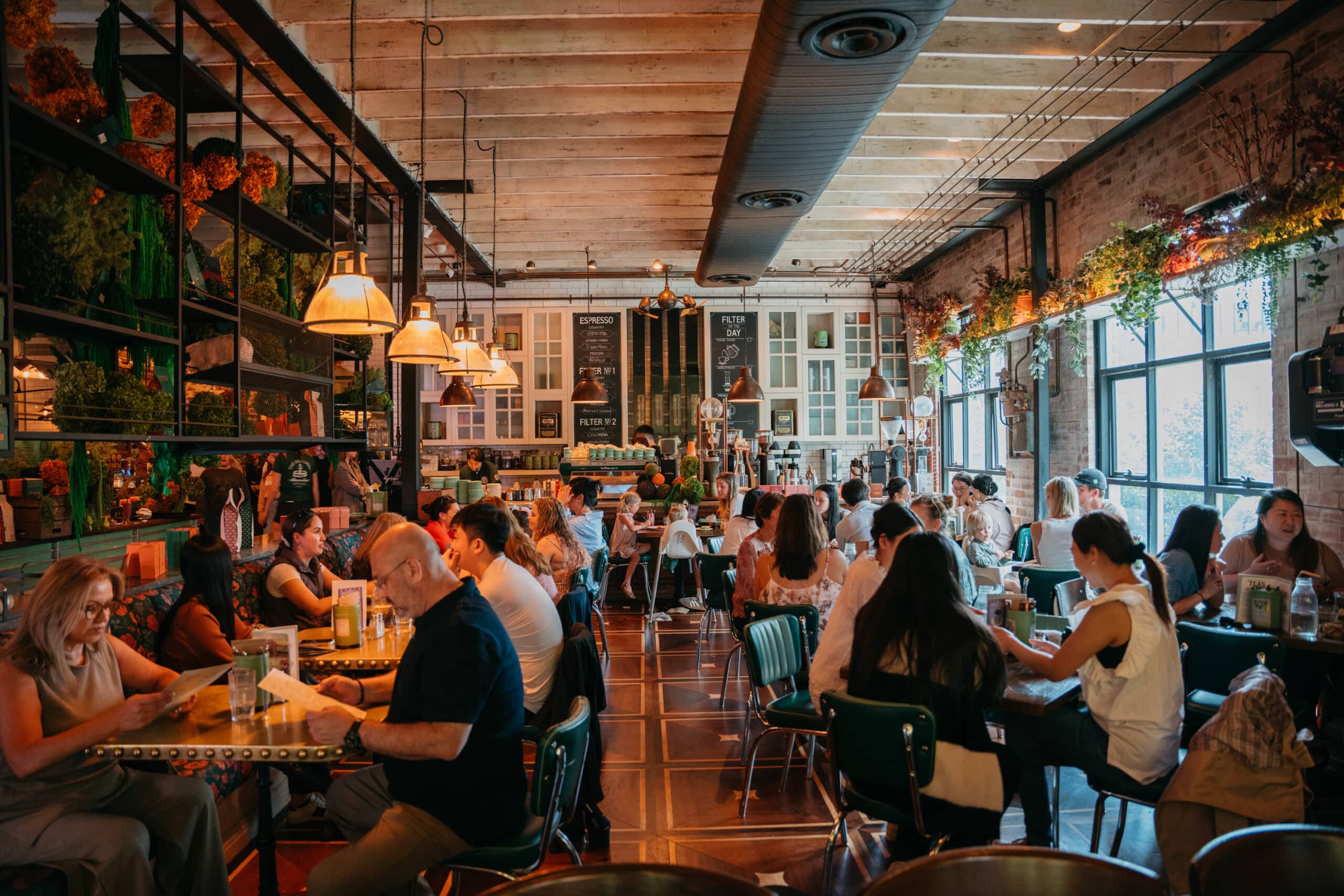 The Grounds of Alexandria